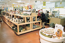 県内第1号の道の駅30周年