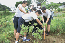 七二会中閉校前に思い出の植樹