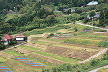 中条の棚田で音楽祭