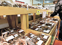 1カ月遅れで天然キノコ