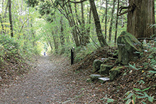 戸隠の古道に桜並木