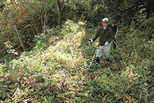 一夜山登山道を再整備