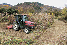 大岡の耕作放棄地を水田に