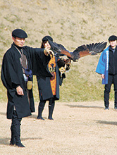 松代城跡で鷹狩り実演