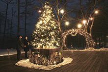 雪化粧の中、ツリー輝く